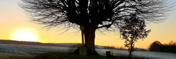 Pflanzen hat seine Zeit