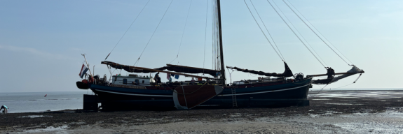 Mitten im Leben - mitten im Wind